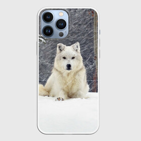 Чехол для iPhone 13 Pro Max с принтом Snow в городе Новоалтайск,  |  | белый | зима | снег