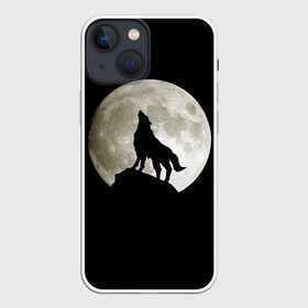 Чехол для iPhone 13 mini с принтом Moon в городе Новоалтайск,  |  | зверь | луна