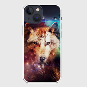 Чехол для iPhone 13 mini с принтом Space WOLF в городе Новоалтайск,  |  | голова | звезды