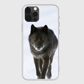 Чехол для iPhone 12 Pro Max с принтом Черный волк в городе Новоалтайск, Силикон |  | Тематика изображения на принте: дикий | зима