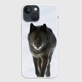 Чехол для iPhone 13 mini с принтом Черный волк в городе Новоалтайск,  |  | дикий | зима