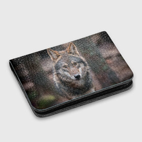 Картхолдер с принтом с принтом Wolf в городе Новоалтайск, натуральная матовая кожа | размер 7,3 х 10 см; кардхолдер имеет 4 кармана для карт; | зверь | лес