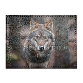Обложка для студенческого билета с принтом Wolf в городе Новоалтайск, натуральная кожа | Размер: 11*8 см; Печать на всей внешней стороне | зверь | лес