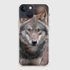 Чехол для iPhone 13 mini с принтом Wolf в городе Новоалтайск,  |  | зверь | лес