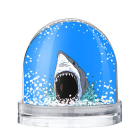 Снежный шар с принтом shark в городе Новоалтайск, Пластик | Изображение внутри шара печатается на глянцевой фотобумаге с двух сторон | fish | ocean | shark | water | акула | море | океан | рыба