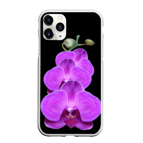 Чехол для iPhone 11 Pro матовый с принтом Орхидея в городе Новоалтайск, Силикон |  | орхидея | флора | цветок