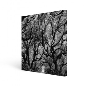 Холст квадратный с принтом Деревья в городе Новоалтайск, 100% ПВХ |  | black   white | crown | curly | forest | park | path | photo | thick | trees | деревья | дорожка | дремучий | крона | кудрявая | лес | парк | фото | черно   белое