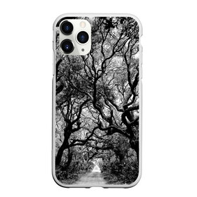 Чехол для iPhone 11 Pro матовый Деревья: в городе Новоалтайск, Силикон | | black white | crown | curly | forest | park | path | photo | thick | trees | деревья | дорожка | дремучий | крона | кудрявая | лес | парк | фото | черно белое