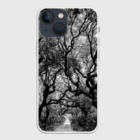 Чехол для iPhone 13 mini с принтом Деревья в городе Новоалтайск,  |  | black   white | crown | curly | forest | park | path | photo | thick | trees | деревья | дорожка | дремучий | крона | кудрявая | лес | парк | фото | черно   белое
