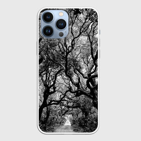 Чехол для iPhone 13 Pro Max с принтом Деревья в городе Новоалтайск,  |  | black   white | crown | curly | forest | park | path | photo | thick | trees | деревья | дорожка | дремучий | крона | кудрявая | лес | парк | фото | черно   белое