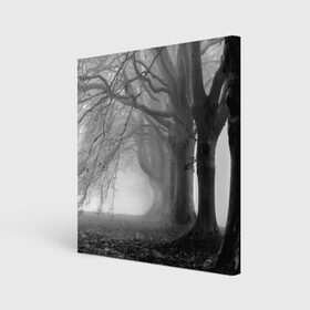 Холст квадратный с принтом Туман в лесу в городе Новоалтайск, 100% ПВХ |  | black   white | fog | forest | morning | photo | silhouette | trees | деревья | лес | силуэт | туман | утро | фото | черно   белое