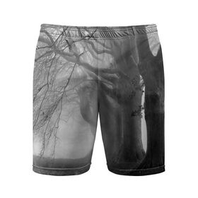 Мужские шорты 3D спортивные с принтом Туман в лесу в городе Новоалтайск,  |  | black   white | fog | forest | morning | photo | silhouette | trees | деревья | лес | силуэт | туман | утро | фото | черно   белое