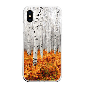 Чехол для iPhone XS Max матовый с принтом Березовая роща в городе Новоалтайск, Силикон | Область печати: задняя сторона чехла, без боковых панелей | birch | birch grove | ferns | forest | trees | березовая | березы | деревья | лес | папоротник | роща