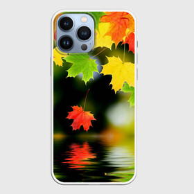 Чехол для iPhone 13 Pro Max с принтом Осень в городе Новоалтайск,  |  | Тематика изображения на принте: autumn | bright | color | forest | leaves | maple | paint | reflection | river | trees | деревья | клён | краски | лес | листья | осень | отражение | река | цвета | яркие