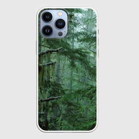 Чехол для iPhone 13 Pro Max с принтом Дремучий лес в городе Новоалтайск,  |  | camouflage | dense | fog | forest | spruce | tree | дремучий | ёлка | ельник | камуфляж | лес | маскировка | туман