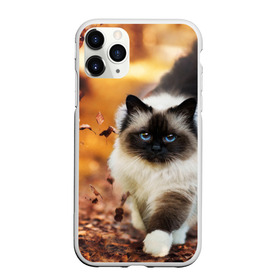 Чехол для iPhone 11 Pro Max матовый с принтом Котик в листьях в городе Новоалтайск, Силикон |  | грация | кот | котик | кошка | листья | осень
