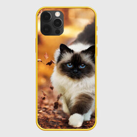 Чехол для iPhone 12 Pro с принтом Котик в листьях в городе Новоалтайск, силикон | область печати: задняя сторона чехла, без боковых панелей | грация | кот | котик | кошка | листья | осень