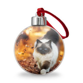 Ёлочный шар с принтом Котик в листьях в городе Новоалтайск, Пластик | Диаметр: 77 мм | грация | кот | котик | кошка | листья | осень