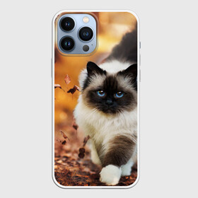 Чехол для iPhone 13 Pro Max с принтом Котик в листьях в городе Новоалтайск,  |  | Тематика изображения на принте: грация | кот | котик | кошка | листья | осень