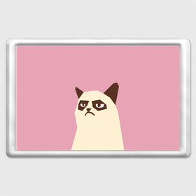 Магнит 45*70 с принтом Grumpy cat pink в городе Новоалтайск, Пластик | Размер: 78*52 мм; Размер печати: 70*45 | кот | мем | угрюмый