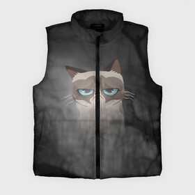 Мужской жилет утепленный 3D с принтом Grumpy Cat в городе Новоалтайск,  |  | кот | мем | угрюмый