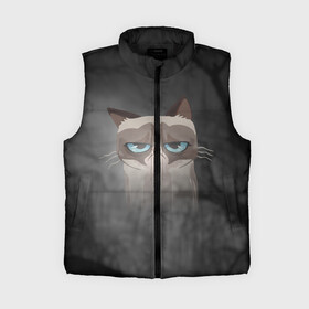 Женский жилет утепленный 3D с принтом Grumpy Cat в городе Новоалтайск,  |  | кот | мем | угрюмый