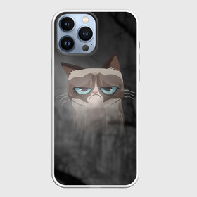 Чехол для iPhone 13 Pro Max с принтом Grumpy Cat в городе Новоалтайск,  |  | Тематика изображения на принте: кот | мем | угрюмый