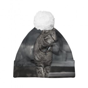 Шапка 3D c помпоном с принтом Кот в городе Новоалтайск, 100% полиэстер | универсальный размер, печать по всей поверхности изделия | Тематика изображения на принте: кот | котенок | кошка