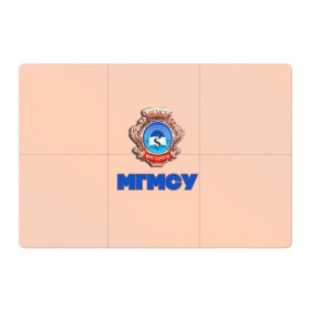 Магнитный плакат 3Х2 с принтом МГМСУ в городе Новоалтайск, Полимерный материал с магнитным слоем | 6 деталей размером 9*9 см | врач | врачи | доктор | профессии | профессия | работа | хирург