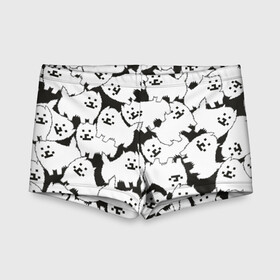 Детские купальные плавки 3D с принтом Undertale Annoying dog в городе Новоалтайск, Полиэстер 85%, Спандекс 15% | Слитный крой, подклад по переду изделия, узкие бретели | annoying dog | dog | undertale