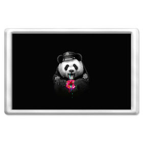 Магнит 45*70 с принтом Donut Panda в городе Новоалтайск, Пластик | Размер: 78*52 мм; Размер печати: 70*45 | bear | donut | panda | police | коп | медведь | панда | пончик