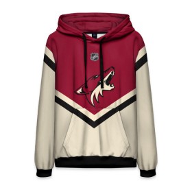 Мужская толстовка 3D с принтом Arizona Coyotes в городе Новоалтайск, 100% полиэстер | двухслойный капюшон со шнурком для регулировки, мягкие манжеты на рукавах и по низу толстовки, спереди карман-кенгуру с мягким внутренним слоем. | Тематика изображения на принте: america | canada | hockey | nhl | usa | америка | аризона | канада | койотис | лед | нхл | сша | хоккей