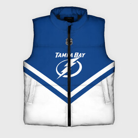 Мужской жилет утепленный 3D с принтом Tampa Bay Lightning в городе Новоалтайск,  |  | america | canada | hockey | nhl | usa | америка | бэй | канада | лайтнинг | лед | нхл | сша | тампа | хоккей