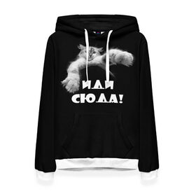 Женская толстовка 3D с принтом Иди сюда! в городе Новоалтайск, 100% полиэстер  | двухслойный капюшон со шнурком для регулировки, мягкие манжеты на рукавах и по низу толстовки, спереди карман-кенгуру с мягким внутренним слоем. | киска | кот | котёнок | кошка | лапа | прикольные картинки