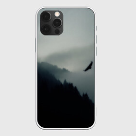Чехол для iPhone 12 Pro Max с принтом Орёл в городе Новоалтайск, Силикон |  | горы | пейзаж | сумерки