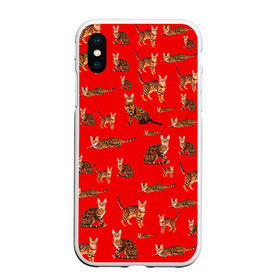 Чехол для iPhone XS Max матовый с принтом Котейки дольче в городе Новоалтайск, Силикон | Область печати: задняя сторона чехла, без боковых панелей | dg | dolce | gabbana | габбана | дольче | киска | котенок | котик | кошечка | кошка