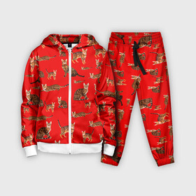 Детский костюм 3D с принтом Котейки дольче в городе Новоалтайск,  |  | dg | dolce | gabbana | габбана | дольче | киска | котенок | котик | кошечка | кошка
