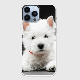 Чехол для iPhone 13 Pro Max с принтом Вест хайленд уайт терьер в городе Новоалтайск,  |  | Тематика изображения на принте: вест хайленд уайт терьер | животное | порода | собака