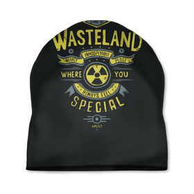 Шапка 3D с принтом Come to Wasteland в городе Новоалтайск, 100% полиэстер | универсальный размер, печать по всей поверхности изделия | atom | bomb | boy | fallout | radioactive | vault | wasteland | атом | бой | бомба | волт | мальчик | радиация | фоллаут | ядерная