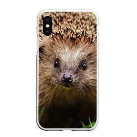 Чехол для iPhone XS Max матовый с принтом Ежик в городе Новоалтайск, Силикон | Область печати: задняя сторона чехла, без боковых панелей | ежик | лес | природа