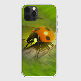 Чехол для iPhone 12 Pro Max с принтом Божья коровка в городе Новоалтайск, Силикон |  | Тематика изображения на принте: божья коробка | букашка | жук | природа