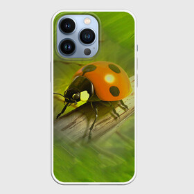 Чехол для iPhone 13 Pro с принтом Божья коровка в городе Новоалтайск,  |  | божья коробка | букашка | жук | природа