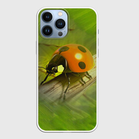 Чехол для iPhone 13 Pro Max с принтом Божья коровка в городе Новоалтайск,  |  | божья коробка | букашка | жук | природа