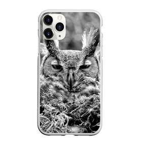 Чехол для iPhone 11 Pro Max матовый с принтом Филин в городе Новоалтайск, Силикон |  | bird | nest | night | nocturnal | owl | predator | гнездо | ночной | птица | сова | филин | хищник