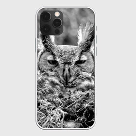 Чехол для iPhone 12 Pro Max с принтом Филин в городе Новоалтайск, Силикон |  | bird | nest | night | nocturnal | owl | predator | гнездо | ночной | птица | сова | филин | хищник