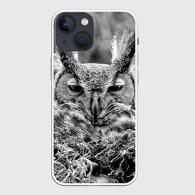 Чехол для iPhone 13 mini с принтом Филин в городе Новоалтайск,  |  | bird | nest | night | nocturnal | owl | predator | гнездо | ночной | птица | сова | филин | хищник