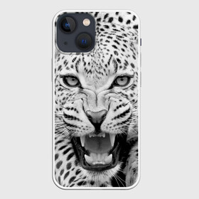 Чехол для iPhone 13 mini с принтом Леопард в городе Новоалтайск,  |  | animal | eyes | jaws | leopard | malicious | predator | spotted | teeth | wild | взгляд | дикий | животное | злой | клыки | леопард | оскал | пасть | пятнистый | хищник