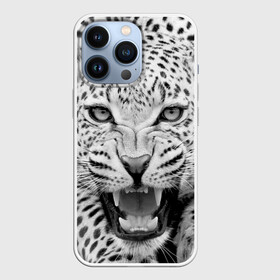 Чехол для iPhone 13 Pro с принтом Леопард в городе Новоалтайск,  |  | animal | eyes | jaws | leopard | malicious | predator | spotted | teeth | wild | взгляд | дикий | животное | злой | клыки | леопард | оскал | пасть | пятнистый | хищник