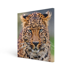 Холст квадратный с принтом Леопард в городе Новоалтайск, 100% ПВХ |  | animal | leopard | look | predator | spotted | wild | взгляд | дикий | животное | леопард | пятнистый | хищник