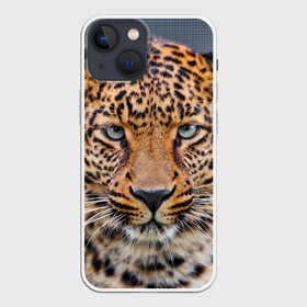 Чехол для iPhone 13 mini с принтом Леопард в городе Новоалтайск,  |  | animal | leopard | look | predator | spotted | wild | взгляд | дикий | животное | леопард | пятнистый | хищник